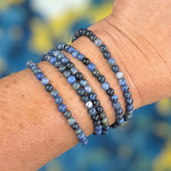 Long Strand Necklace - Sodalite Seriously Romantic